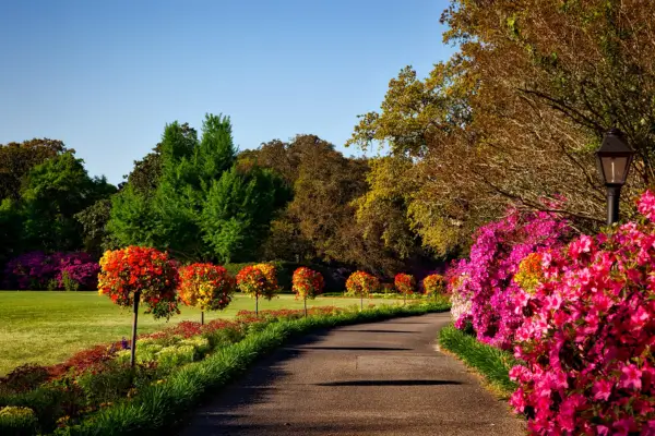 Como Criar um Jardim Funcional para Jardineiros de Primeira Viagem: Dicas Essenciais