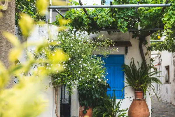 Planeje, Decore e Transforme Pequenos Espaços em Jardins Compactos e Inspiradores