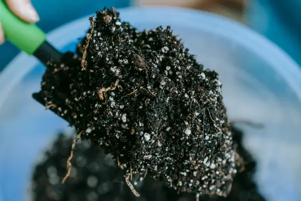 Como fazer compostagem e enriquecer sua horta naturalmente