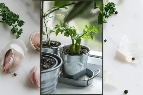 Micro-hortas urbanas para cultivar vegetais em apartamentos pequenos