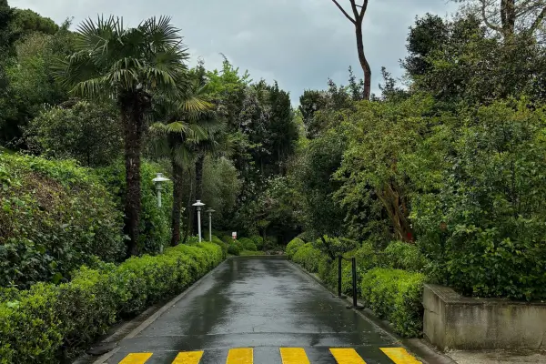 O papel das cercas vivas na paisagem urbana com arbustos nativos para o Cerrado: proteção e beleza