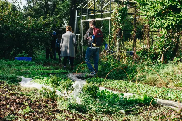 Hortas comunitárias para produção de alimentos orgânicos em bairros, preservação e conexão social