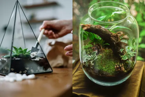 Terrários miniaturas para exposição em ambientes decorativos minimalistas